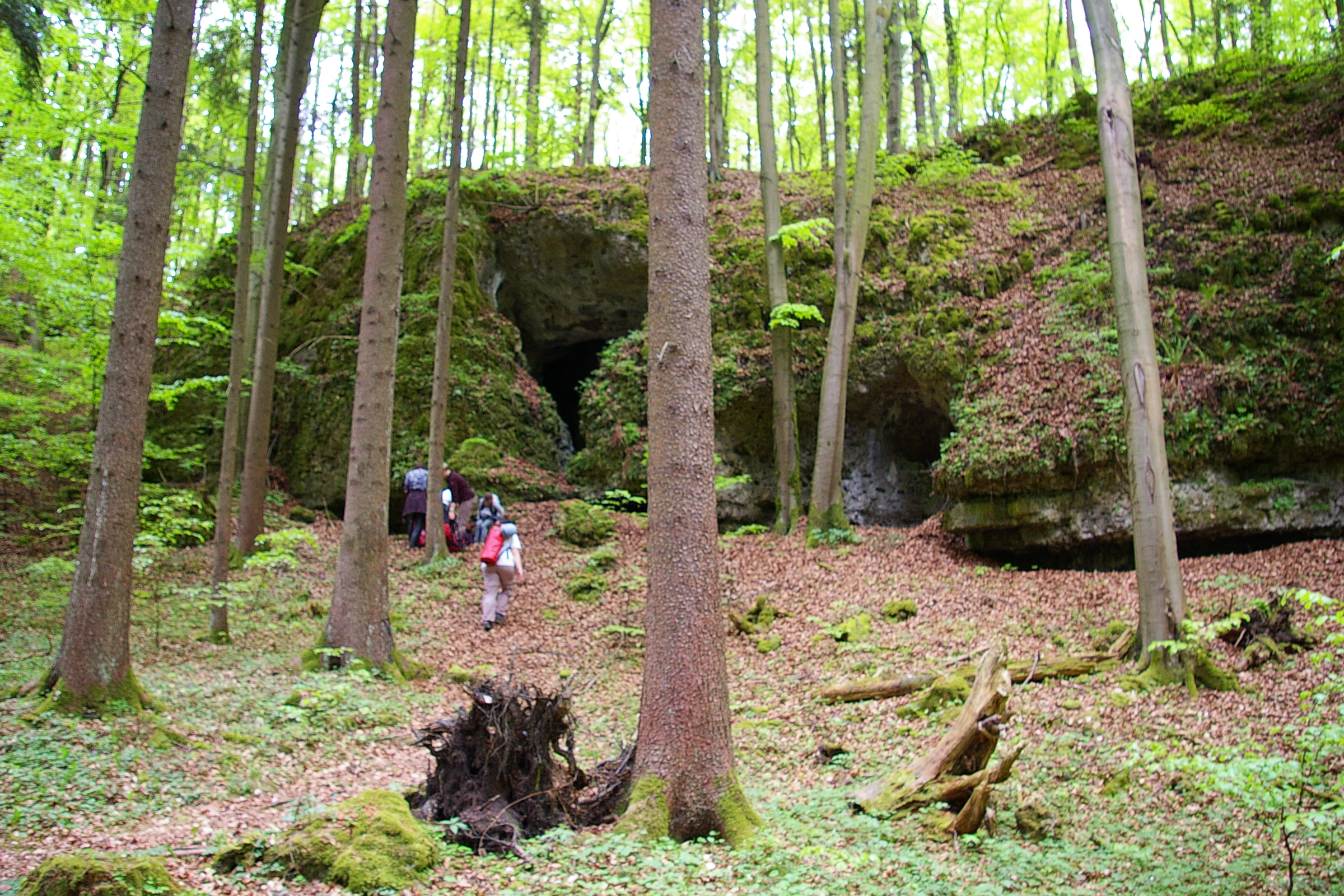 Buchberghöhle