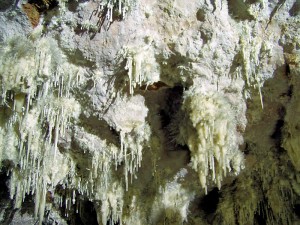 Exzentriques in der Schauhöhle El Soplao