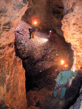 Breitensteiner Bäuerin (Foto: T. Schneider)