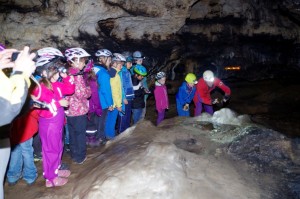 HöhlenwanderungAuf der Suche nach Collembolen im Hauptdom der Osterhöhle