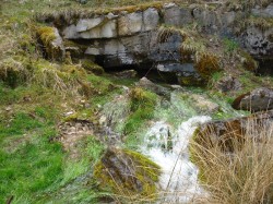 Hungerbrunnen im Leinleitertal