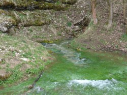 Hungerbrunnen im Leinleitertal